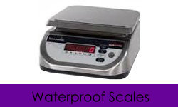 washdown scale, waterproof scale